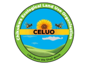 logo celuo transparent